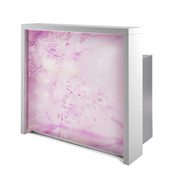 Стойка администратора "PARTY IMAGE"