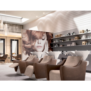 Парикмахерская мойка &quot;WEN PRO&quot;