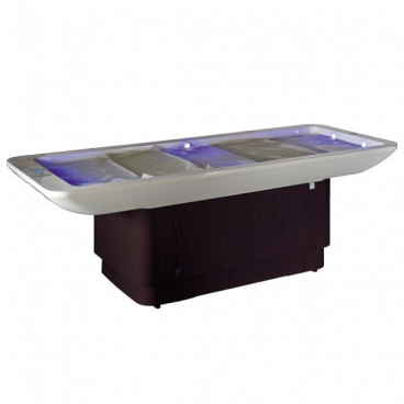 Массажный стол Venus Easy