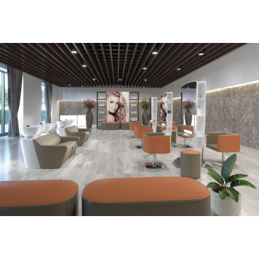 Парикмахерская мойка &quot;DUETTO SUPERIOR&quot;